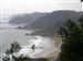 click to show in Zoomer