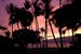 click to show in Zoomer