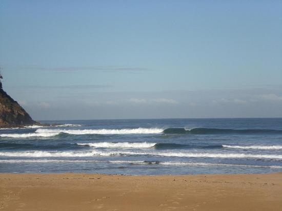 Fantastic SURF Holidays abroad!! 