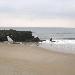 Fantastic SURF Holidays abroad!! 